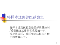 将样本送到兽医试验室课件