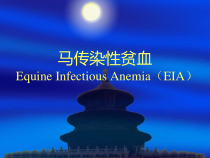 马传染性贫血课件