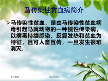 马传染性贫血培训课件
