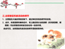 泌尿系统疾病兽医内科学精选课件