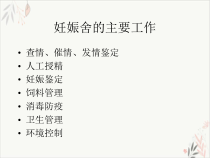 母猪的饲养管理空怀妊娠课件