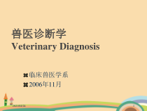 农业类兽医诊断学基础课件