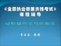 全国执业兽医资格考试课程辅导-课件