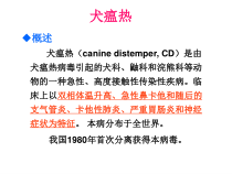 犬猫重要疫病防治课件
