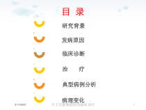犬子宫蓄脓病因及临床诊疗培训课件