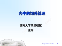 肉牛的饲养管理兽医课件