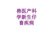 兽医产科学新生仔畜疾病课件