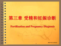 兽医产科学之分娩与助产课件