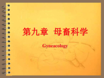 兽医产科学之母畜科学课件