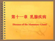 兽医产科学之乳腺疾病课件