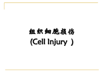 兽医病理学：-组织损伤课件