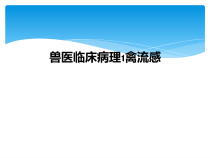 兽医临床病理1禽流感课件
