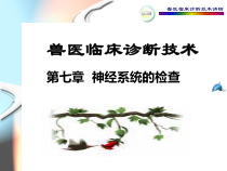 兽医临床诊断技术_附件课件