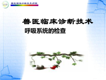 兽医临床诊断技术讲稿呼吸系统课件