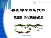 兽医临床诊断技术讲课件