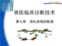 兽医临床诊断技术--消化系统的检查--课件