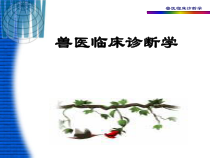 兽医临床诊断学课件
