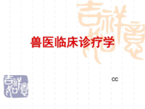 兽医临床诊疗技术共167张课件