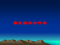 兽医临床诊疗学培训课件