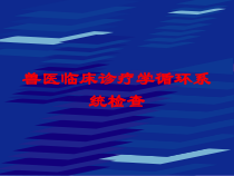 兽医临床诊疗学循环系统检查培训课件