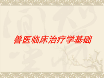 兽医临床治疗学基础培训课件