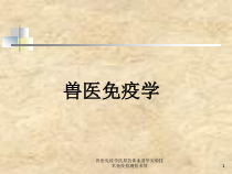 兽医免疫学抗原抗体血清学实验技术免疫检测技术等课件