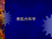 兽医内科学(全套378张课件)