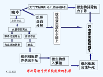 兽医内科学呼吸系统疾病课件