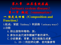 兽医内科学第六章-泌尿系统疾病69张课件