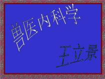 兽医内科学共71张课件