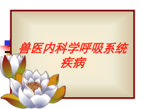 兽医内科学呼吸系统疾病培训课件