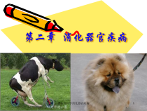 兽医内科学消化器官疾病课件