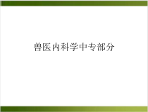 兽医内科学中专部分课件