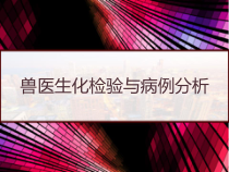 兽医生化检验与病例分析-课件