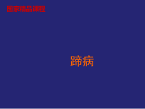 兽医牛的蹄病课件