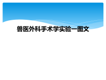兽医外科手术学实验一课件_2
