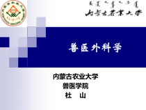 兽医外科学--第四章常用外科手术器械及其使用总结课件