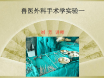 兽医外科手术学实验一课件