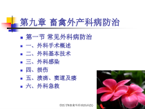 兽医学5畜禽外科病防治-课件