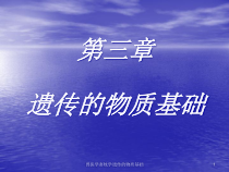 兽医学畜牧学遗传的物质基础课件