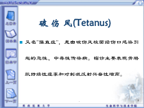 兽医学动物破伤风病原发病机理和防治课件