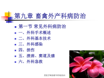 兽医学5畜禽外科病防治课件