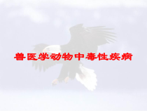 兽医学动物中毒性疾病培训课件