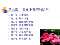 兽医学-内科病课件