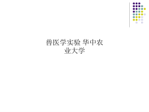 兽医学实验课件