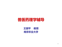 兽医药理学辅导课件