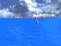 兽医药理学课件(第8章)作用于生殖系统的药物