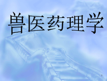 兽医药理学课件255p