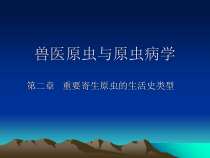 兽医原虫和原虫病学课件