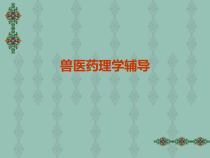 执业兽医培训课件【兽医药理191张课件】